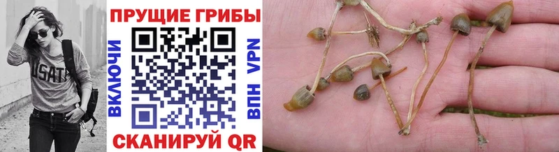 Купить где  Верхнеуральск  Галлюциногенные грибы прущие грибы 
